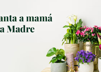 de Be.green: Révolutionner la Vie Durable en France