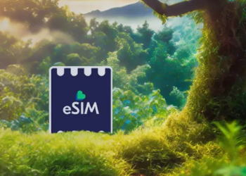 Français aiment Lycamobile.fr : Un leader des services mobiles en France