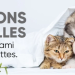 Animigo.fr : Une Référence Unique dans le Monde des Produits pour Animaux