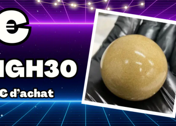 Une marque pas comme les autres : le style selon creamhigh.fr