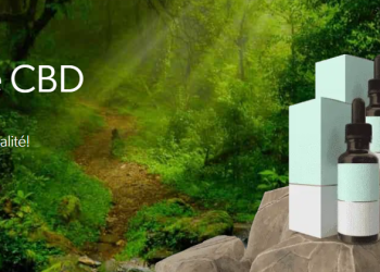 Une boutique spécialisée pour le bien-être naturel à base de CBD