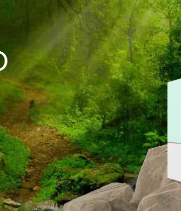 Une boutique spécialisée pour le bien-être naturel à base de CBD