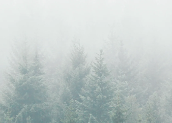 ASMC : Une référence pour les passionnés de plein air et de loisirs tactiques