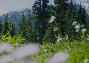 L’équipement de montagne taillé pour les Alpes suisses avec Mountain Hardwear