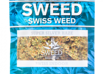 Le bien-être naturel au cœur de la Suisse avec CBD Balance