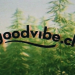 GoodVibe : une expérience bien-être ancrée dans la qualité suisse