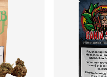 Une expérience unique avec Uweed dans le marché suisse du cannabis légal