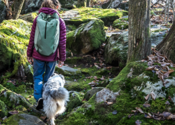 Le confort thermique suisse à son apogée avec Fit-und-Warm