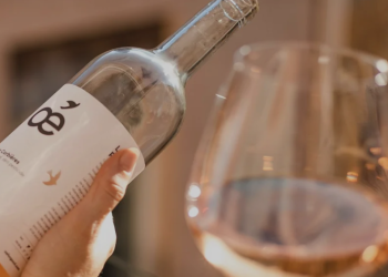 Une marque engagée pour un impact positif