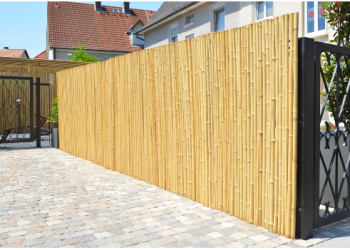 Le chemin d’un commerce solide au cœur de la Suisse