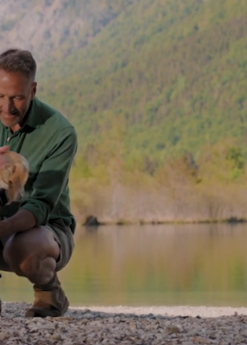 Sicherheit und Wohlbefinden für Haustiere mit Tractive