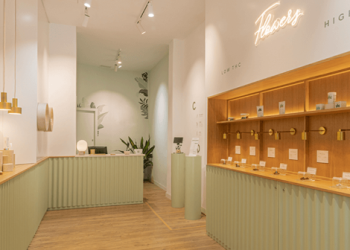 Expertise et bien-être naturel à travers le chanvre de qualité