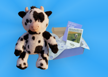 Le nouveau standard du cadeau émotionnel et de la tendresse