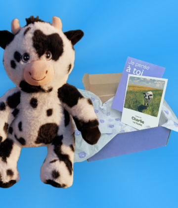 Le nouveau standard du cadeau émotionnel et de la tendresse