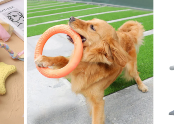 Tendresse et bien-être pour le quotidien de vos compagnons