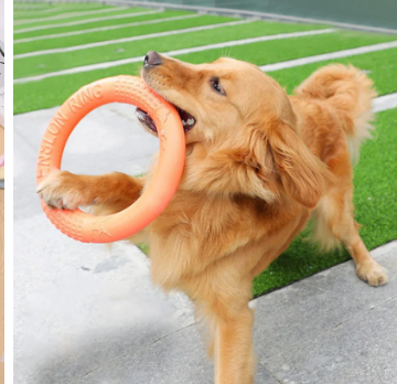 Tendresse et bien-être pour le quotidien de vos compagnons