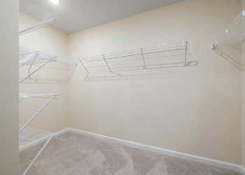 Wall-Mounted Shelves for Living Room Storage