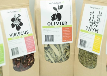 Les Créateurs Bio et l’univers des produits naturels et responsables