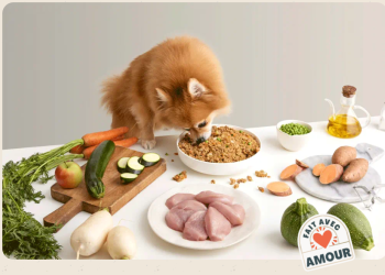 Une alimentation pensée pour les besoins de chaque chien