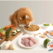 Une alimentation pensée pour les besoins de chaque chien
